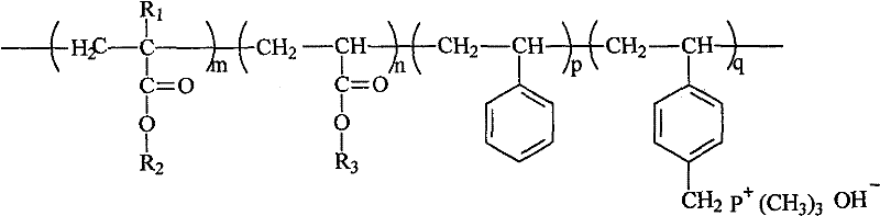 Alkaline polymer electrolyte membrane and preparation method thereof