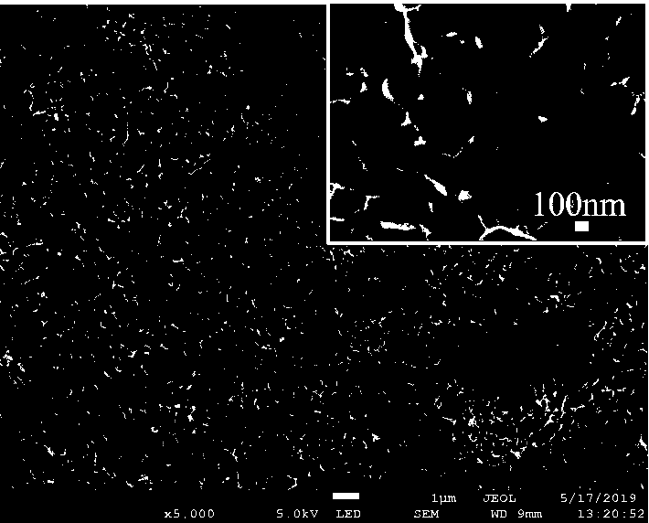 G-C3N4/ TiO2 coating with light-control and antibacterial functions and preparation method thereof