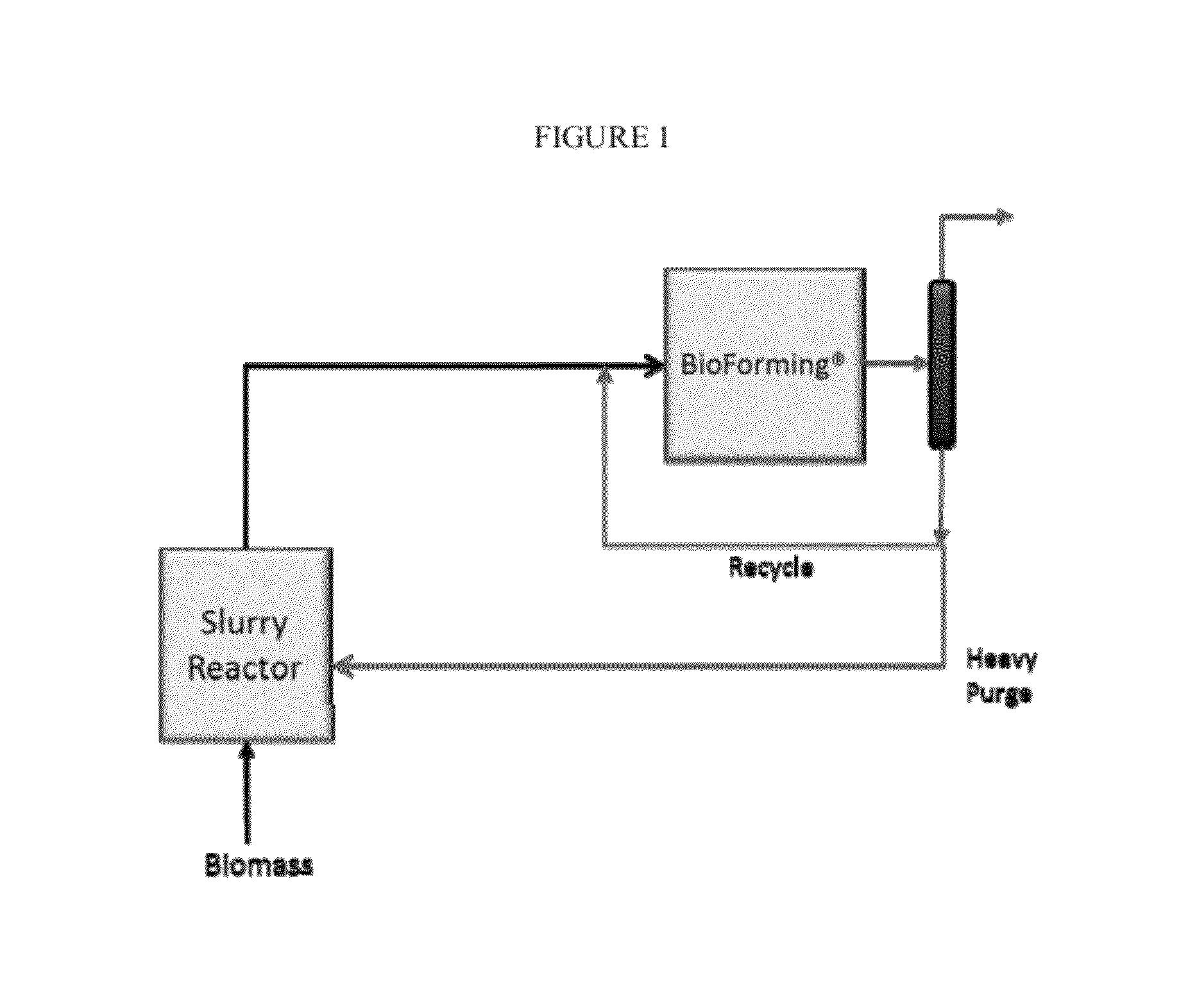 Solvolysis of biomass to produce aqueous and organic products