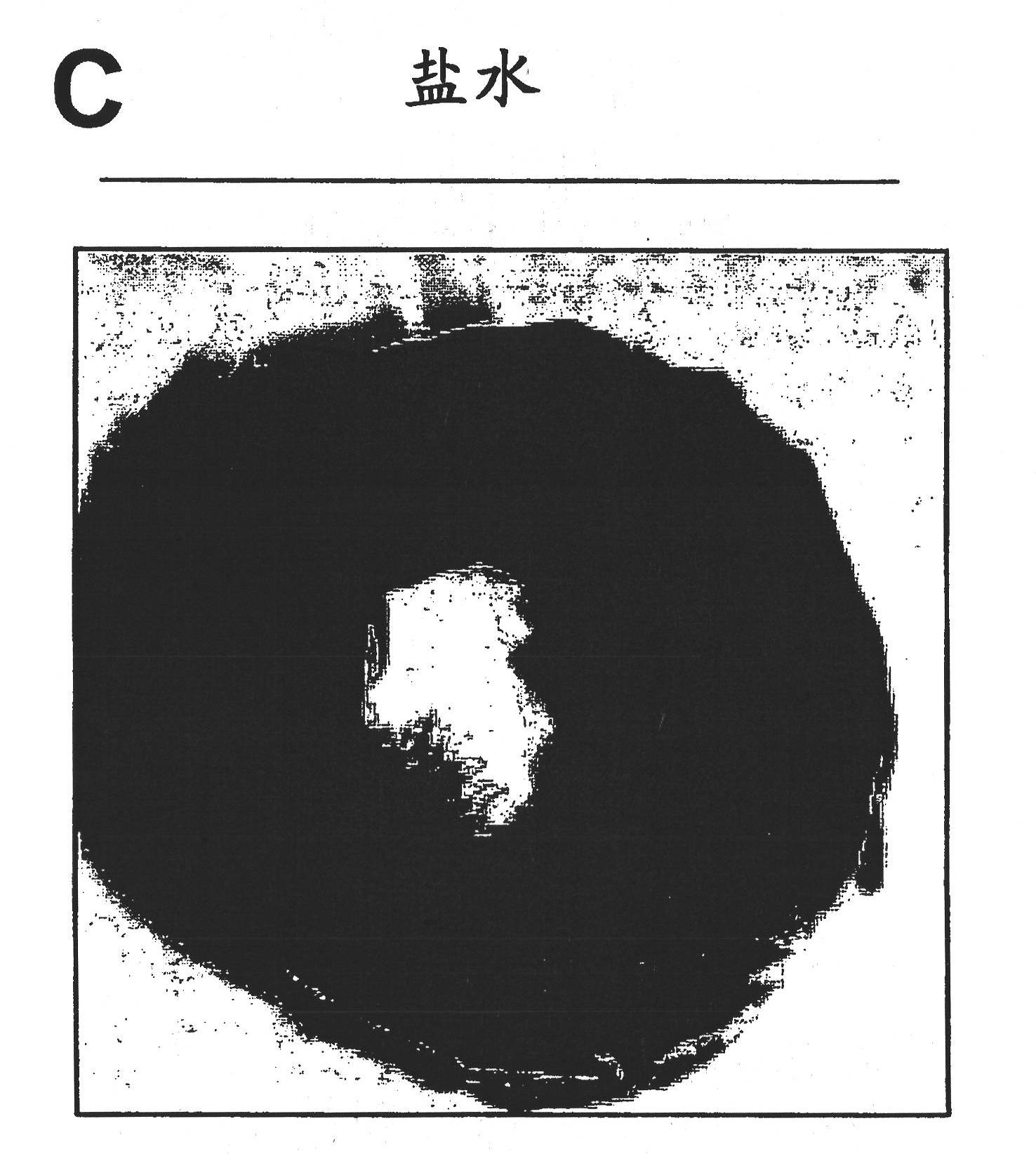 Mesenchymal stem cell particles