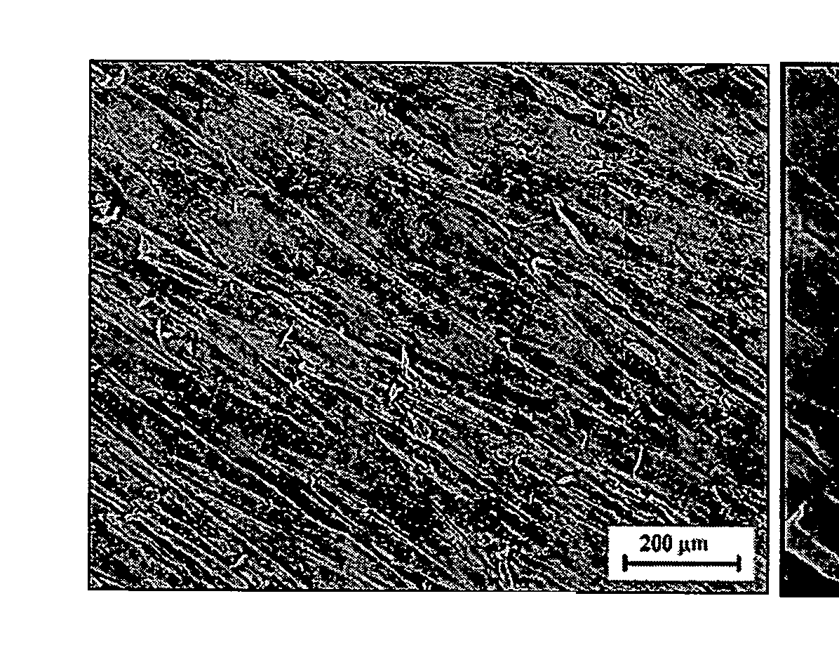 Bioactive load-bearing composites