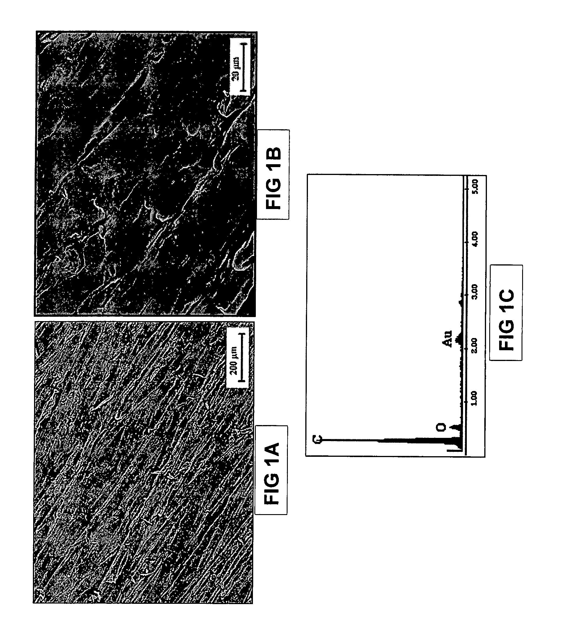 Bioactive load-bearing composites