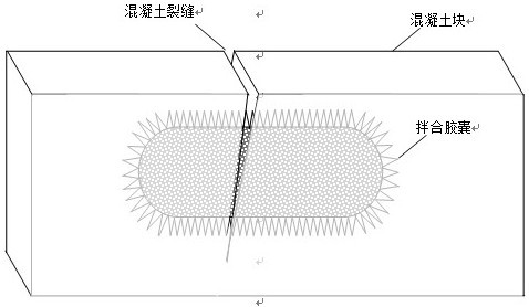 Concrete crack self-healing mixing capsule