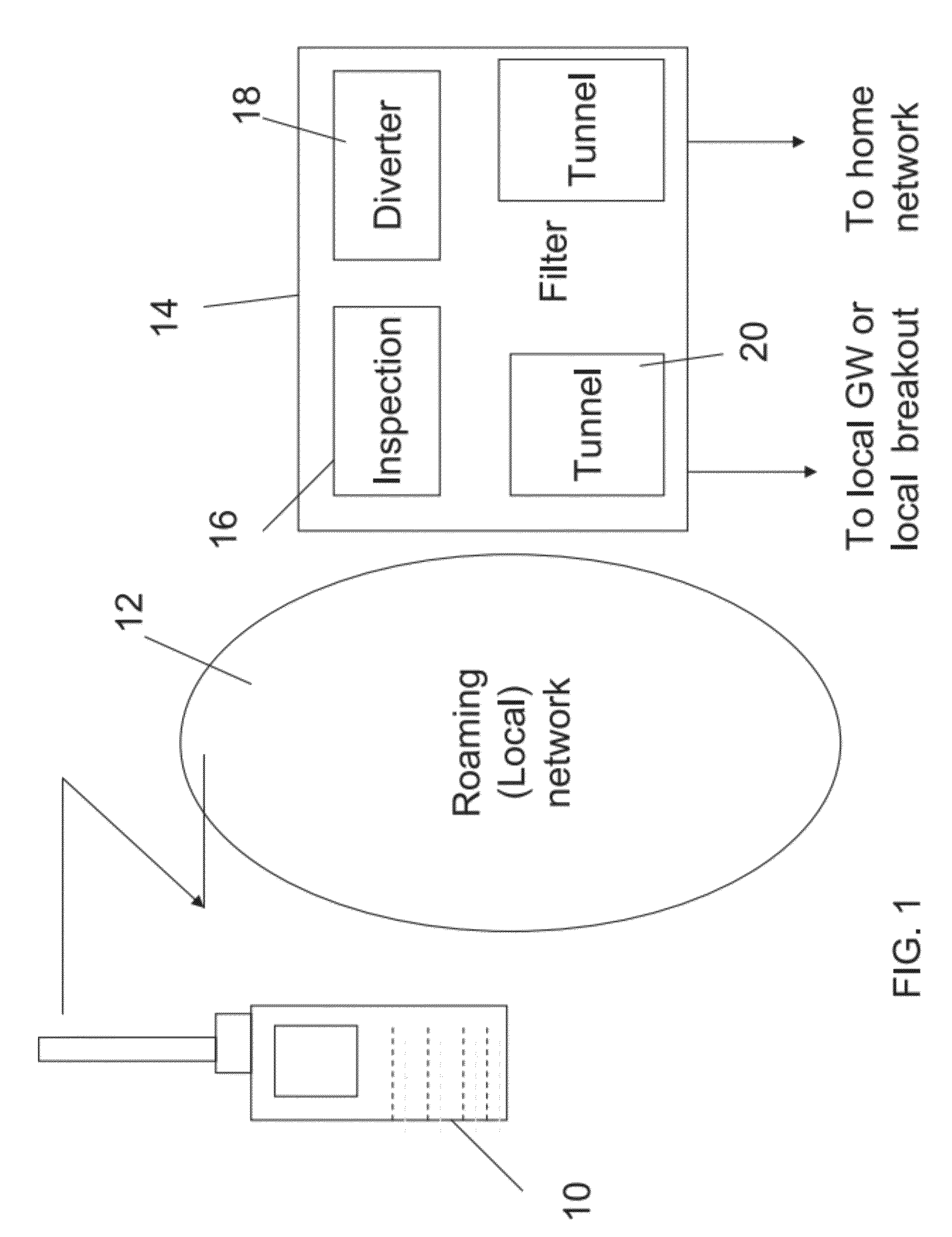 Local access to data while roaming with a mobile telephony device