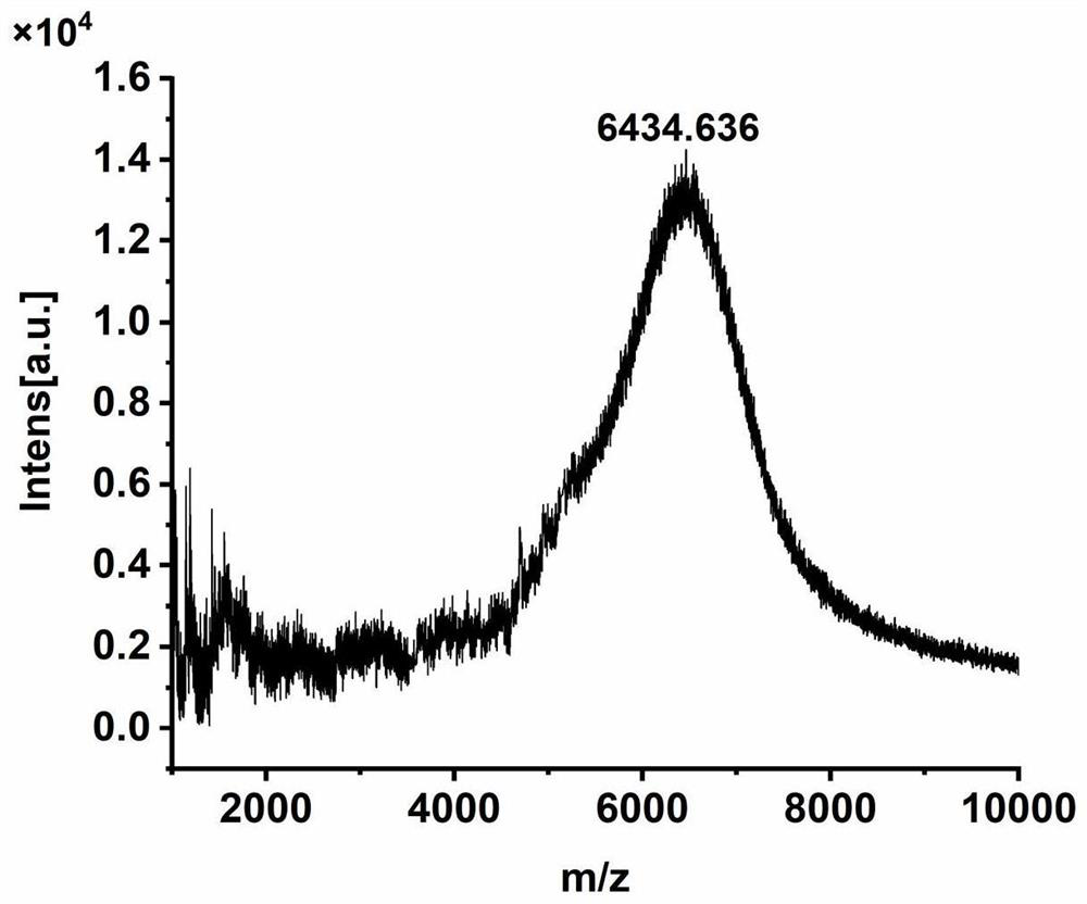 Nanoparticle compound with tumor microenvironment responsive deformation