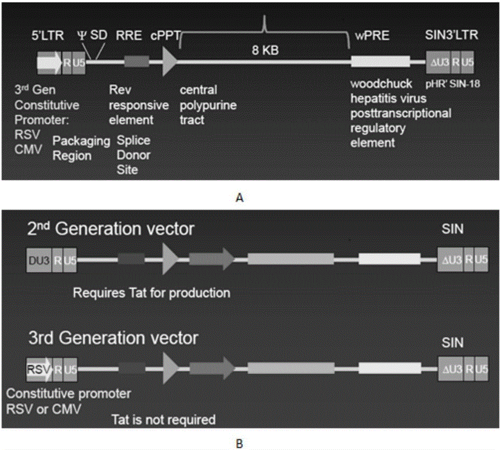 SiRNA of humanized interleukin 6, recombination expression carrier CAR-T and construction method and application of recombination expression carrier CAR-T