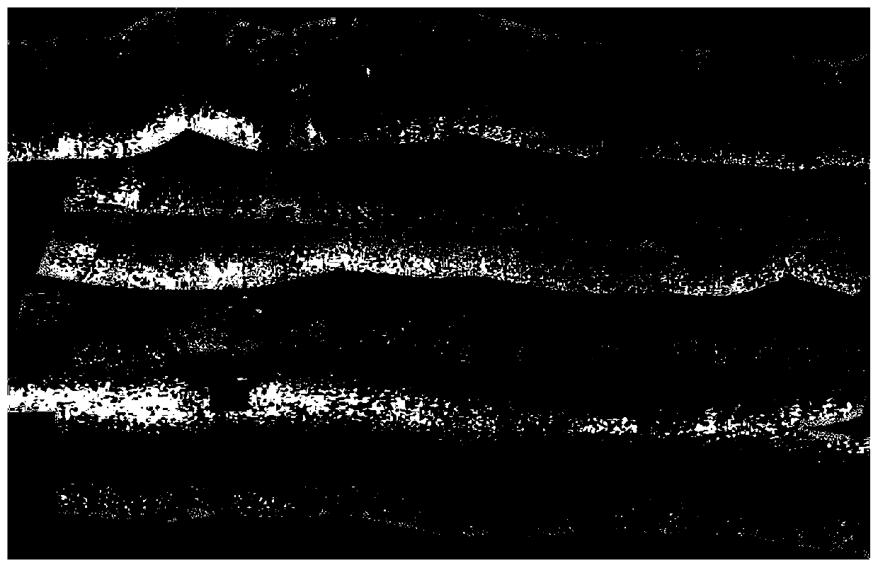 Side-scan sonar image gray scale equalization method and system