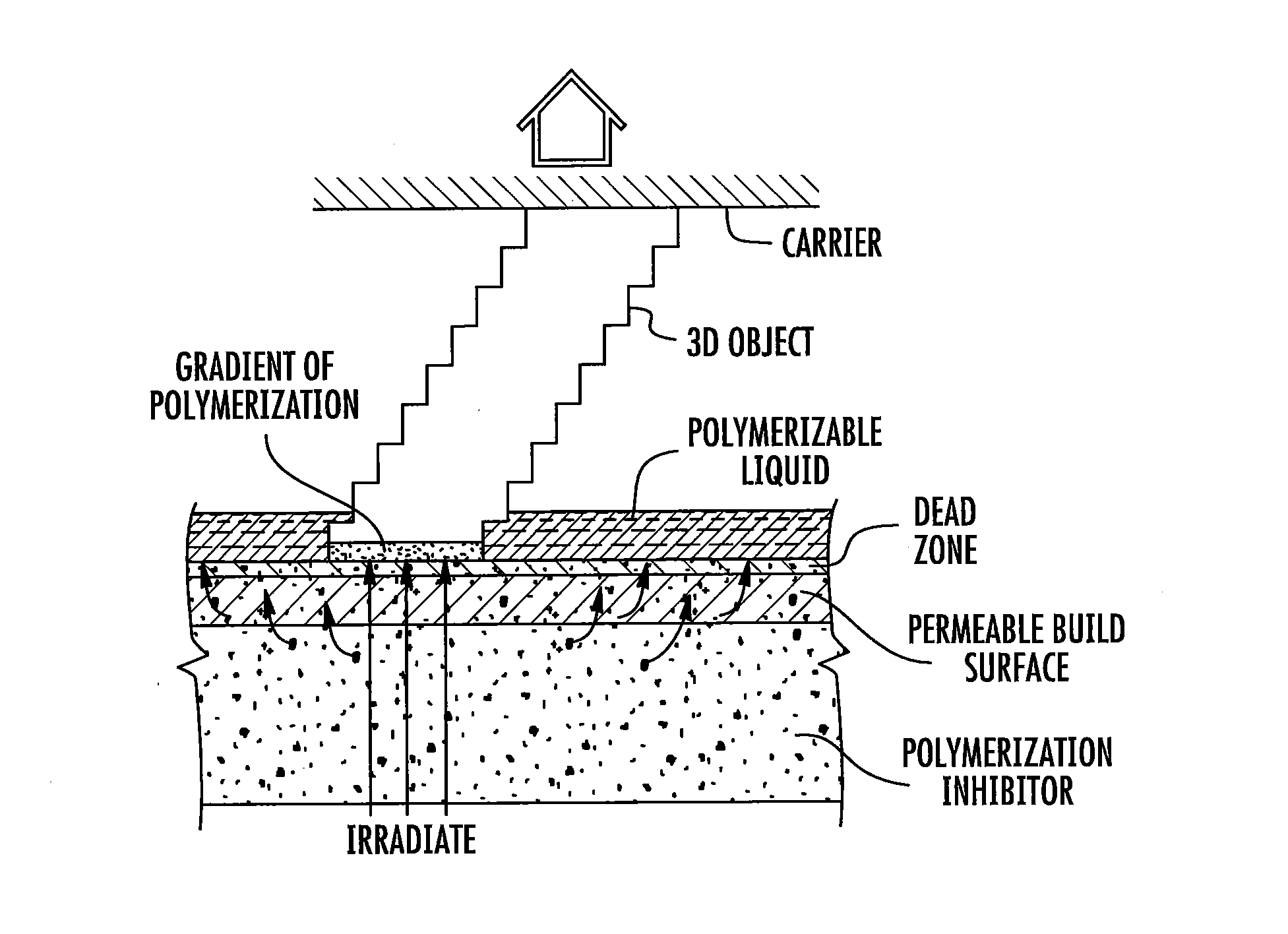 Three-dimensional printing with supported build plates