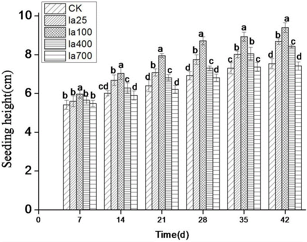 Medicament for promoting growth of radix pseudostellariae and expansion of tuberous roots and spraying method thereof