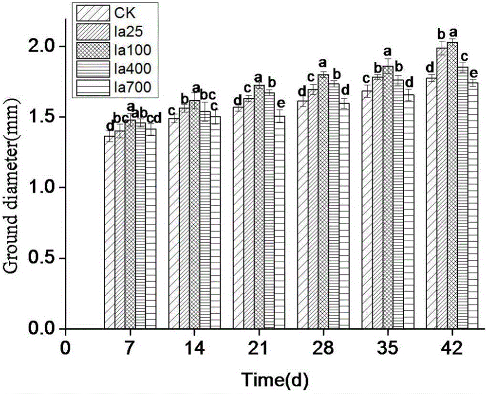 Medicament for promoting growth of radix pseudostellariae and expansion of tuberous roots and spraying method thereof