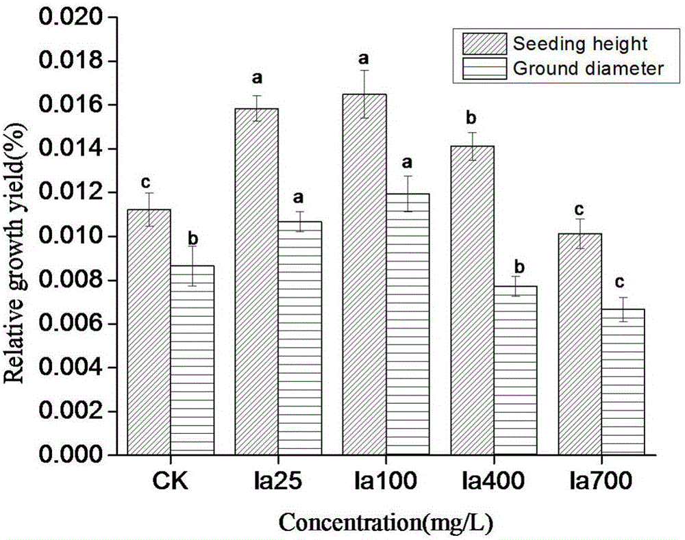 Medicament for promoting growth of radix pseudostellariae and expansion of tuberous roots and spraying method thereof