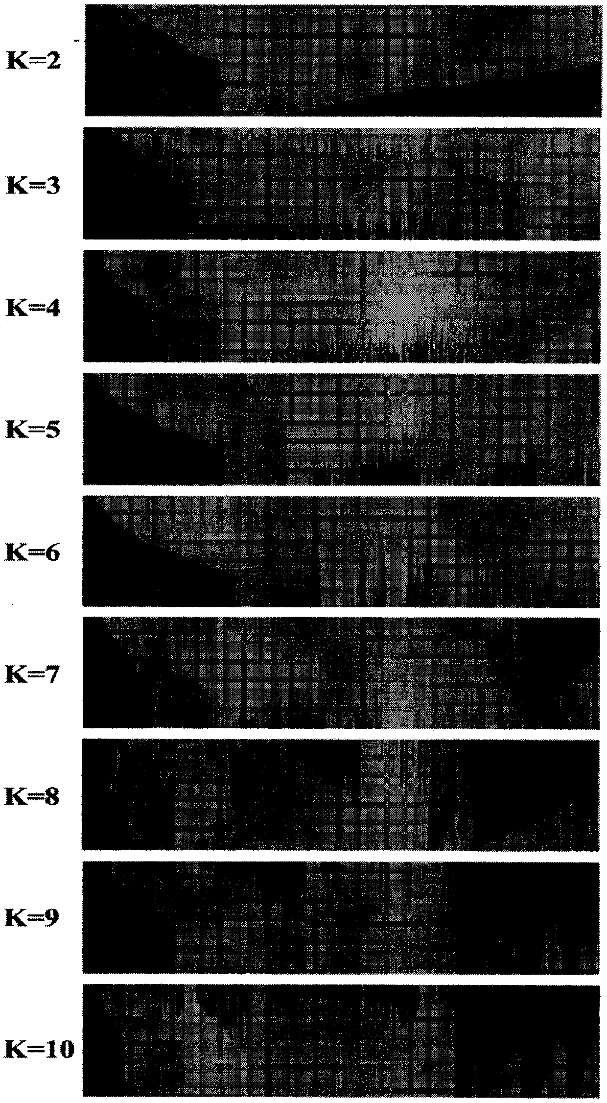 Maize whole-genome InDel (insertion-deletion) chip and application thereof