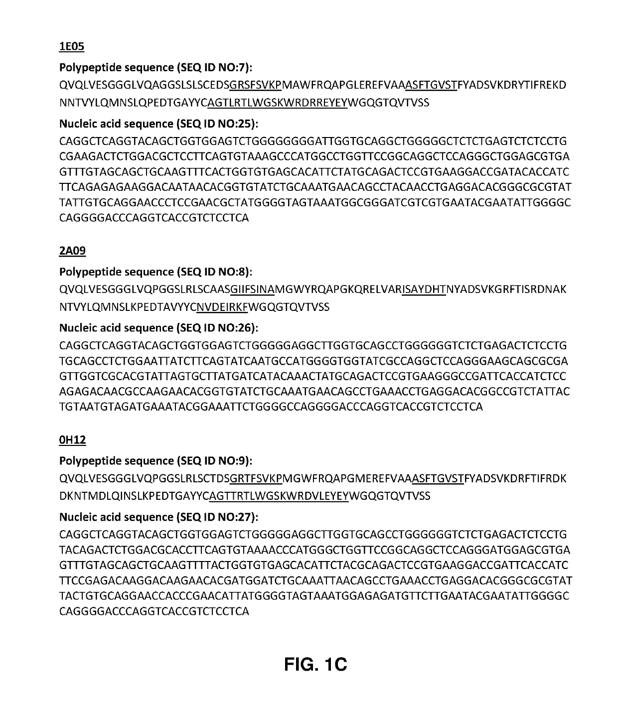 Anti-salmonella antibodies and uses thereof