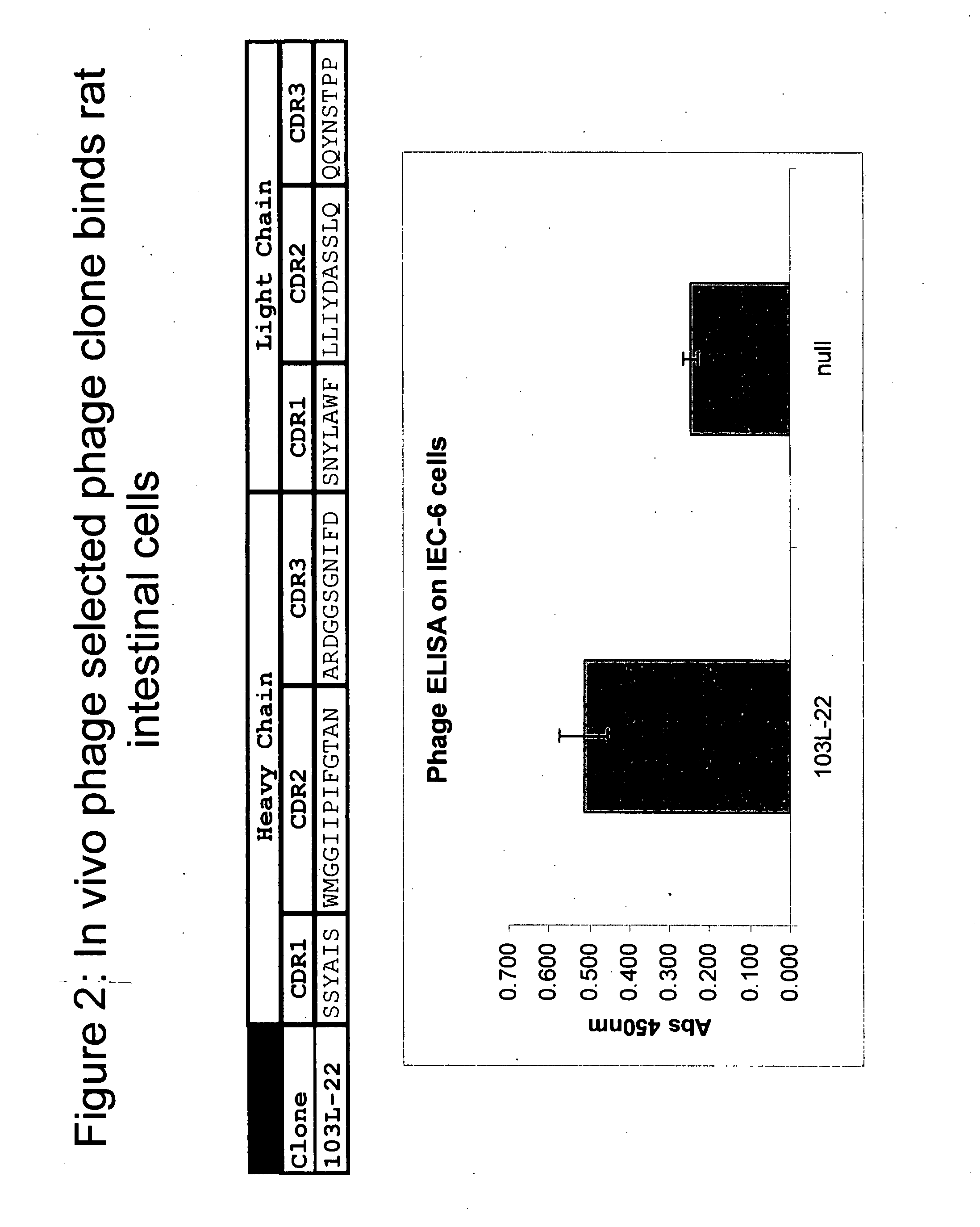 Facilitation of translocation of molecules through the gastrointestinal tract