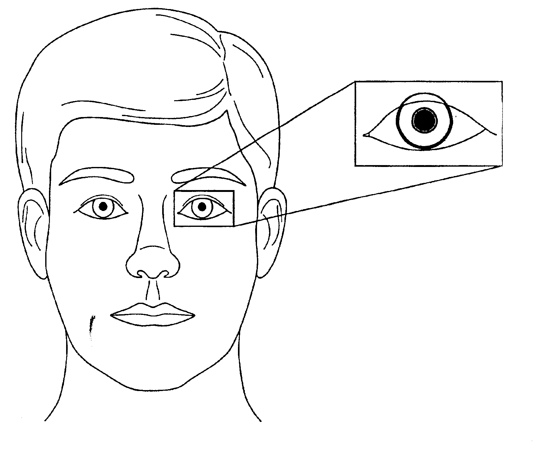 Auto calibration and personalization of eye tracking system using larger field of view imager with higher resolution