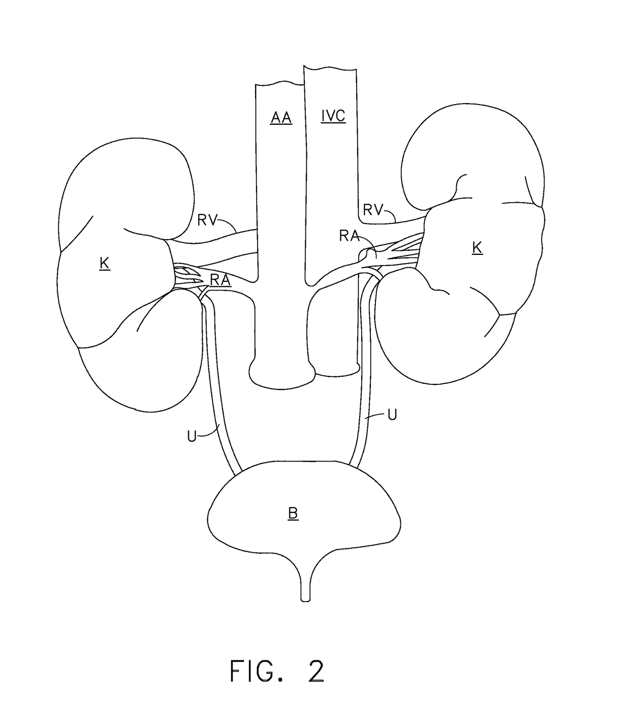 Treatment of atrial fibrillation using high-frequency pacing and ablation of renal nerves