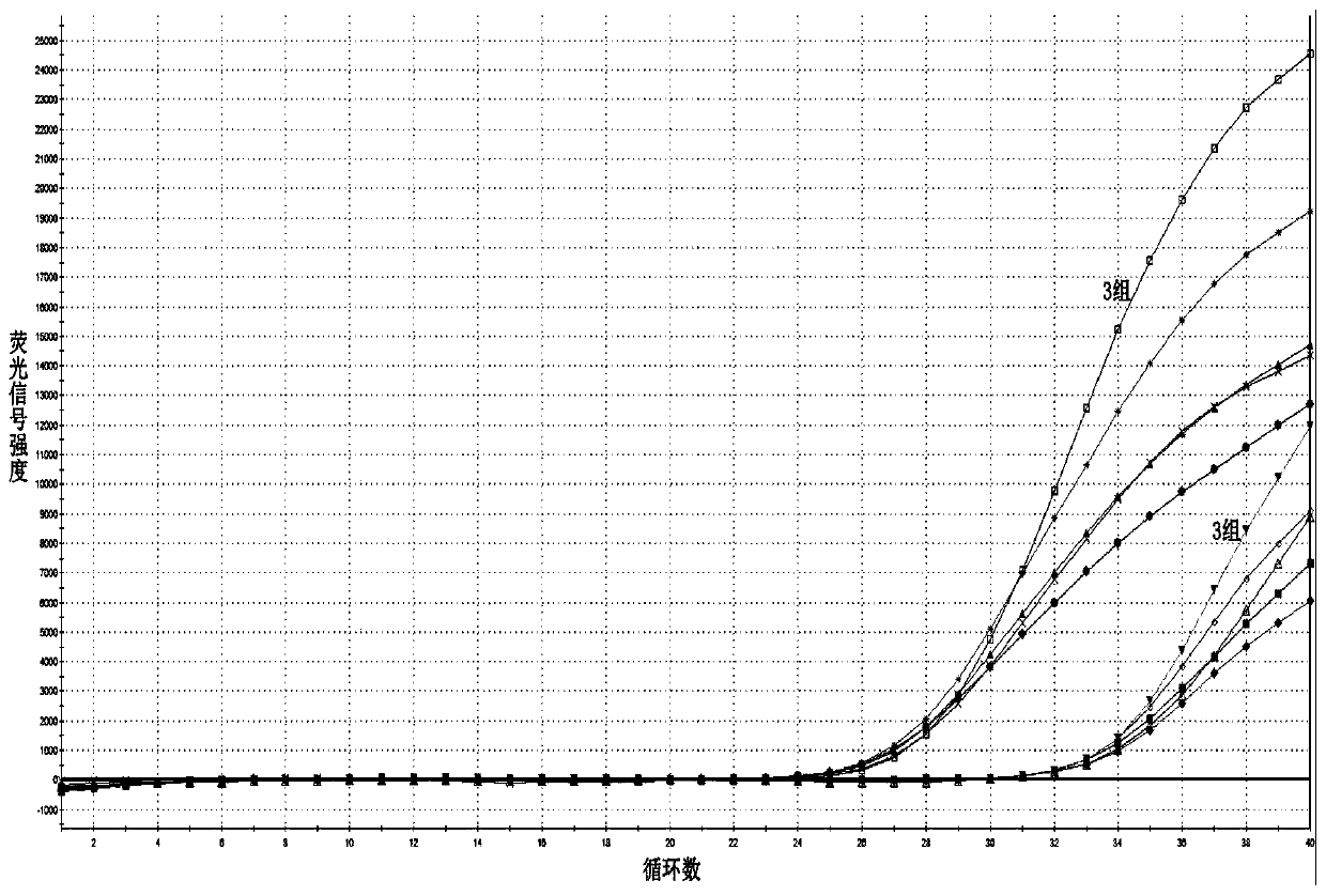 Primer set for performing fluorescence quantitative PCR detection on decapod iridescent virus 1 ( Decapod iridescent virus 1, DIV1 ) and reagent kit