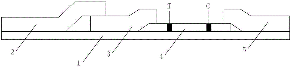 Convenient procalcitonin detection kit