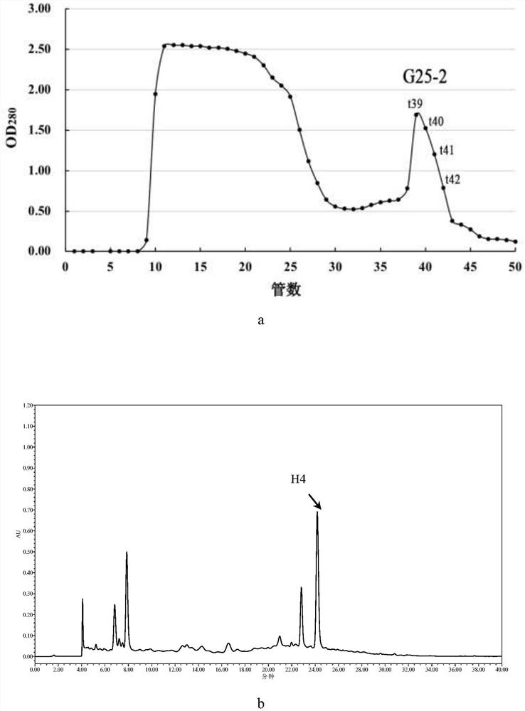 Method for purifying indole-3-lactic acid in plant lactobacillus fermentation supernatant