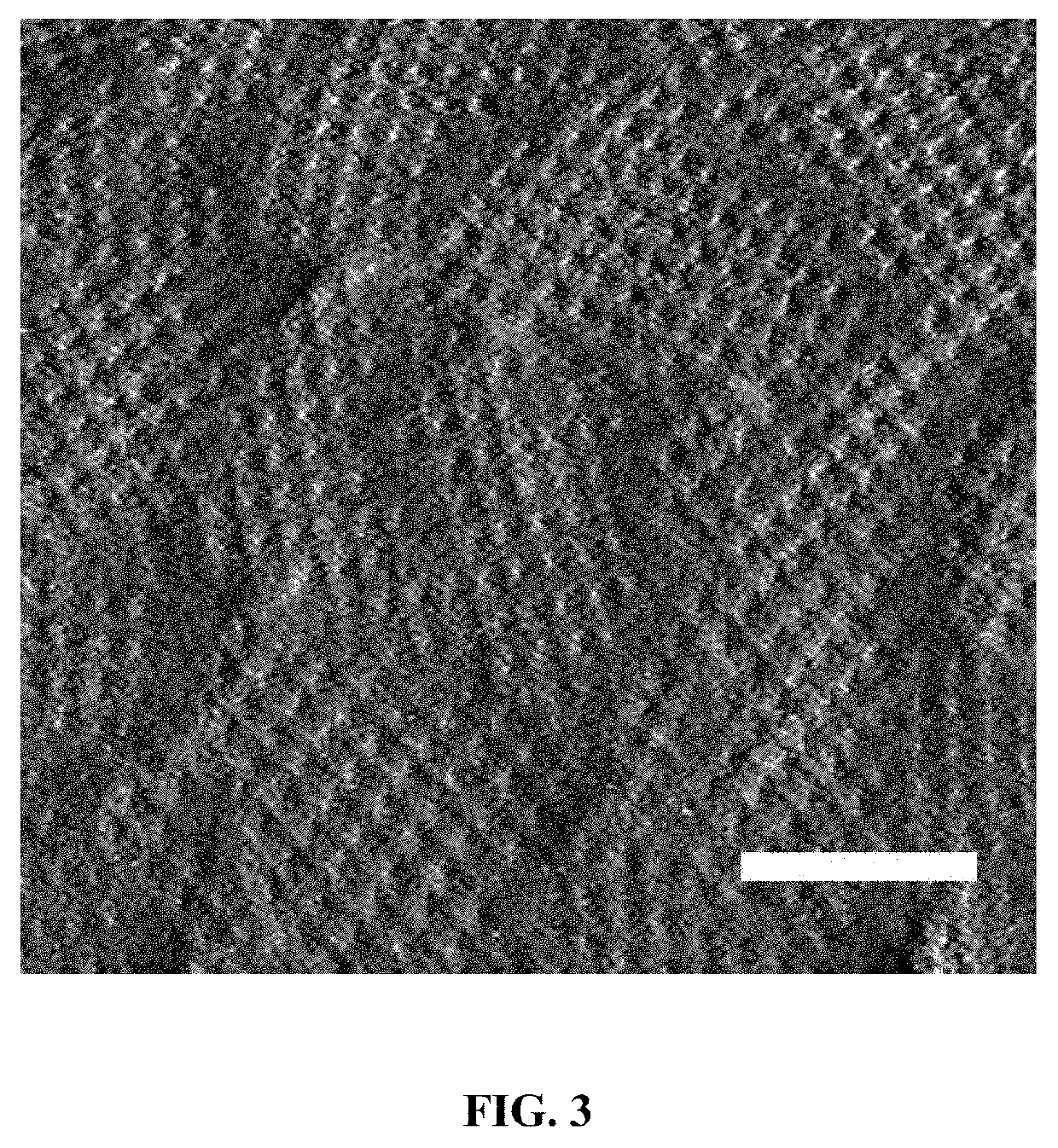 S-Layer Protein 2D Lattice Coupled Detergent-Free GPCR Bioelectronic Interfaces, Devices, and Methods for the Use Thereof