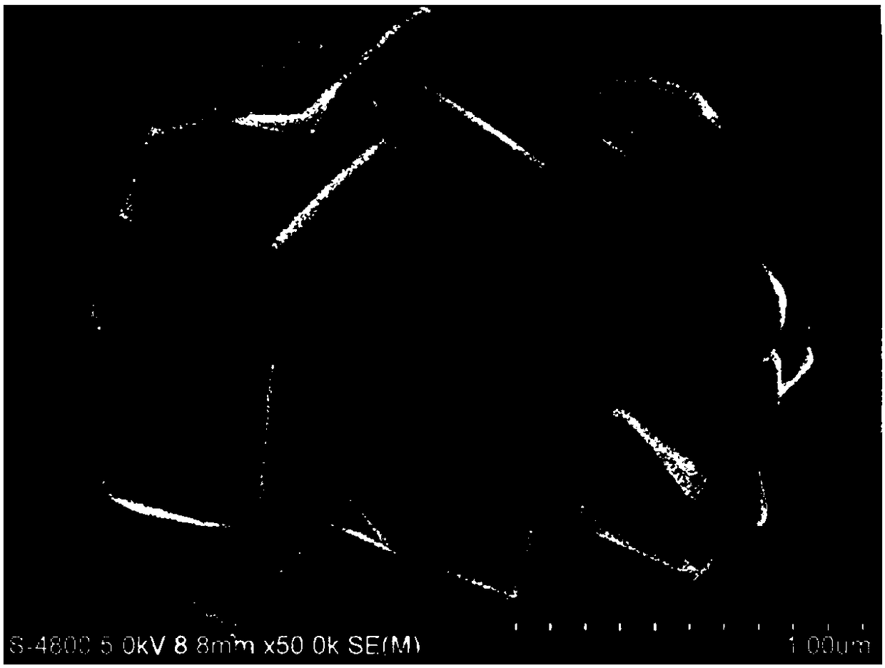 A kind of titanium dioxide nanometer microsphere and its preparation method and application