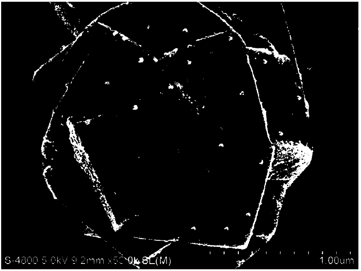 A kind of titanium dioxide nanometer microsphere and its preparation method and application