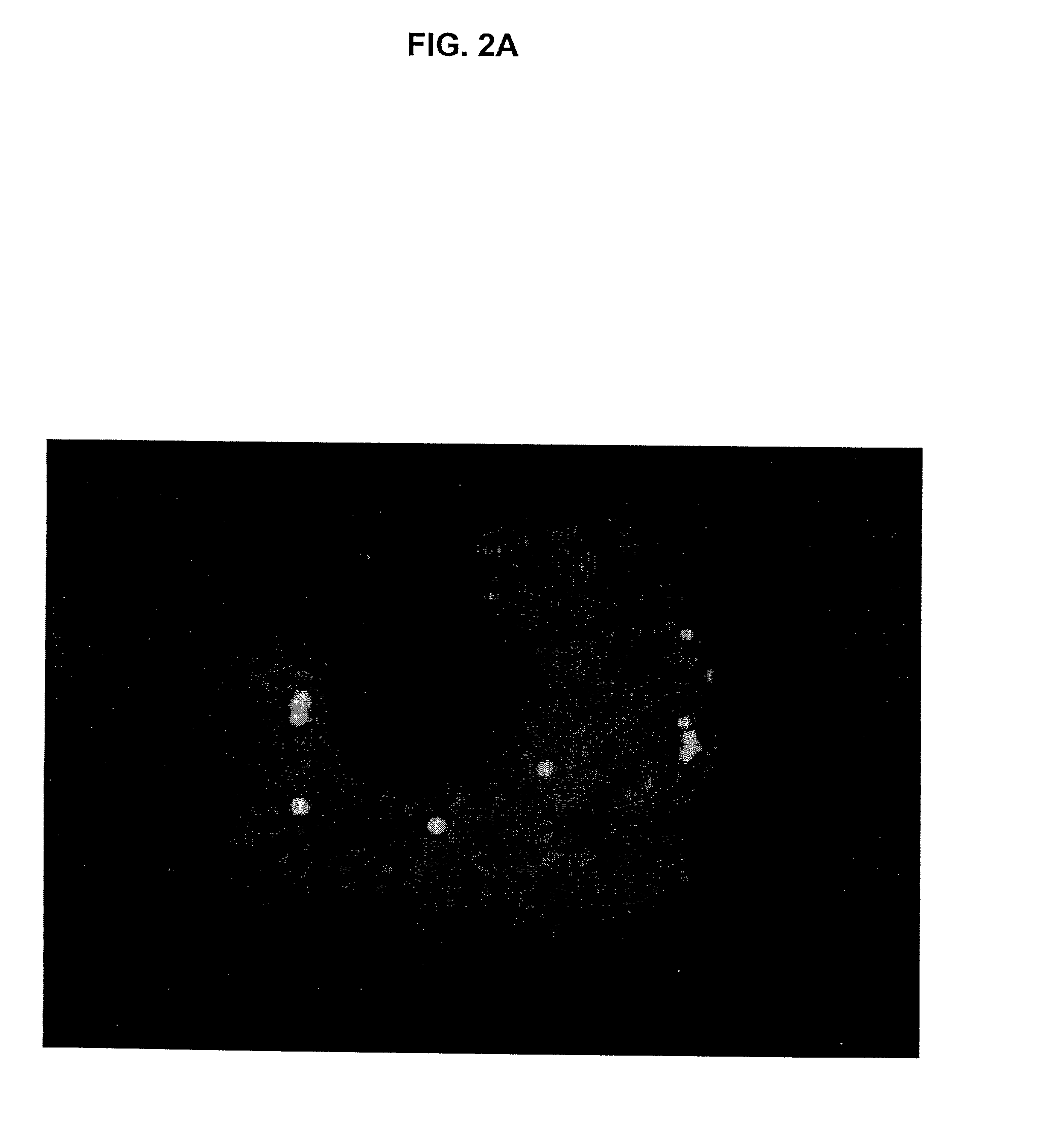 Methods and compositions utilizing rad51