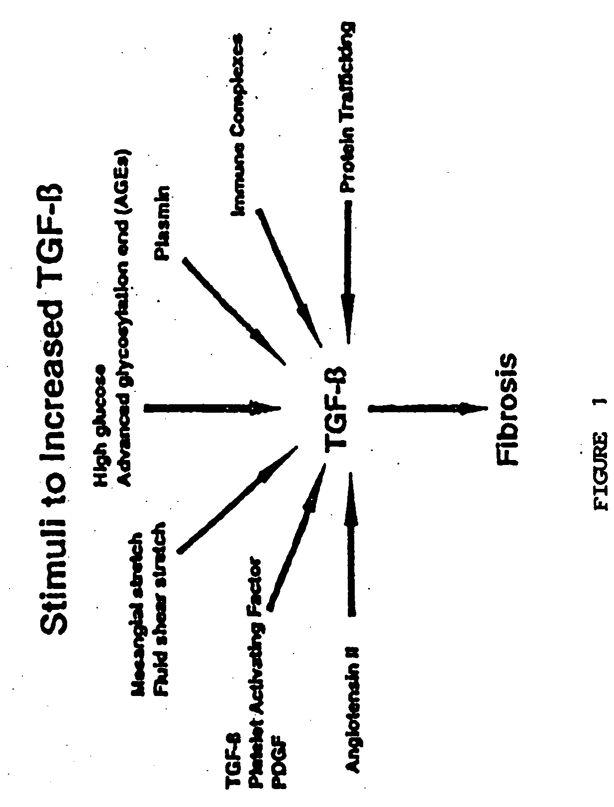 Methods for treating conditions associated with the accumulation of excess extracellular matrix