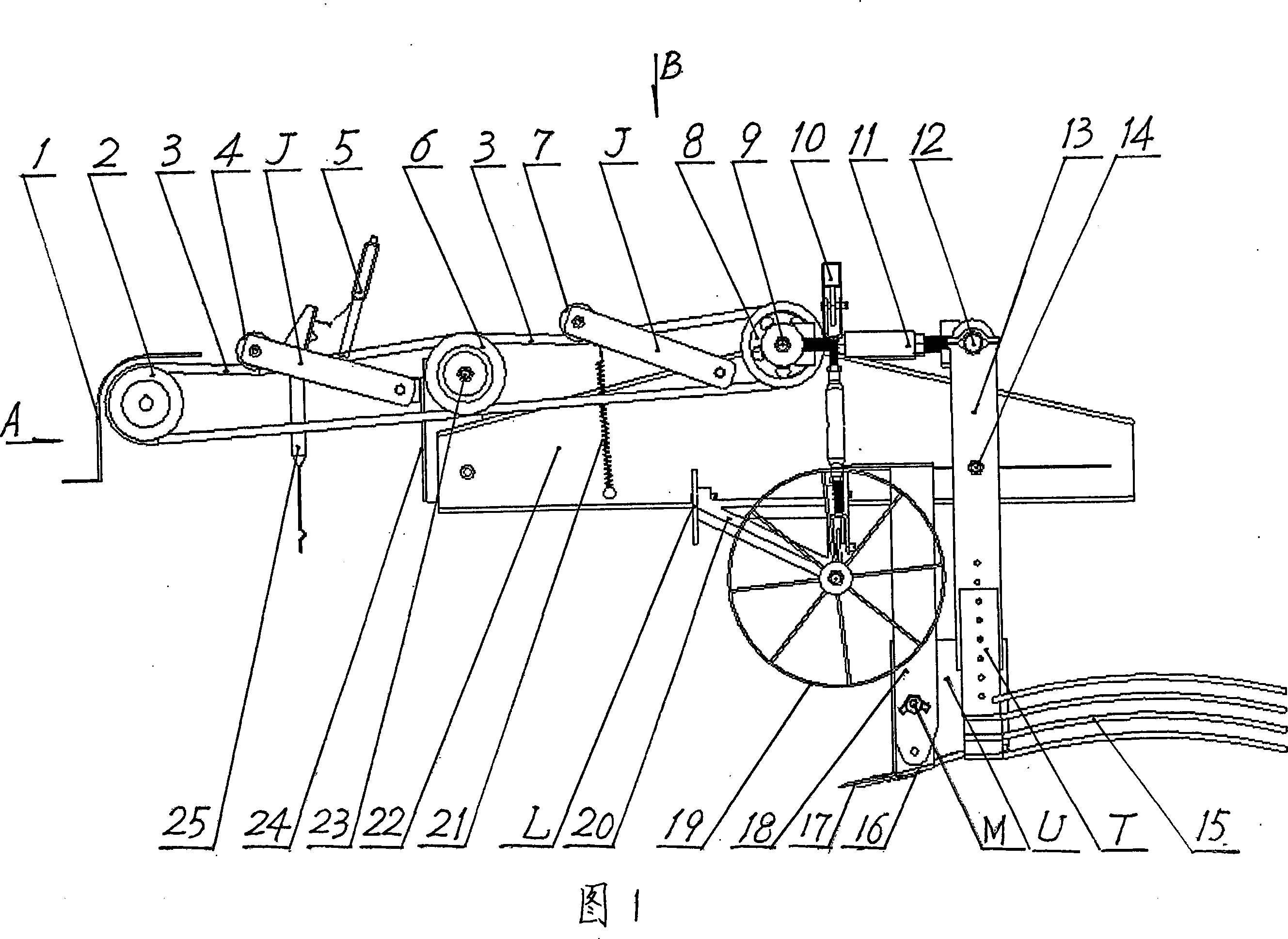 Adjustable potatoes harvester