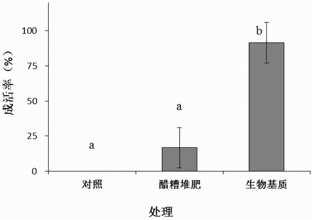 Microbe additive for improving beach saline alkali soil structure and its preparation method and use