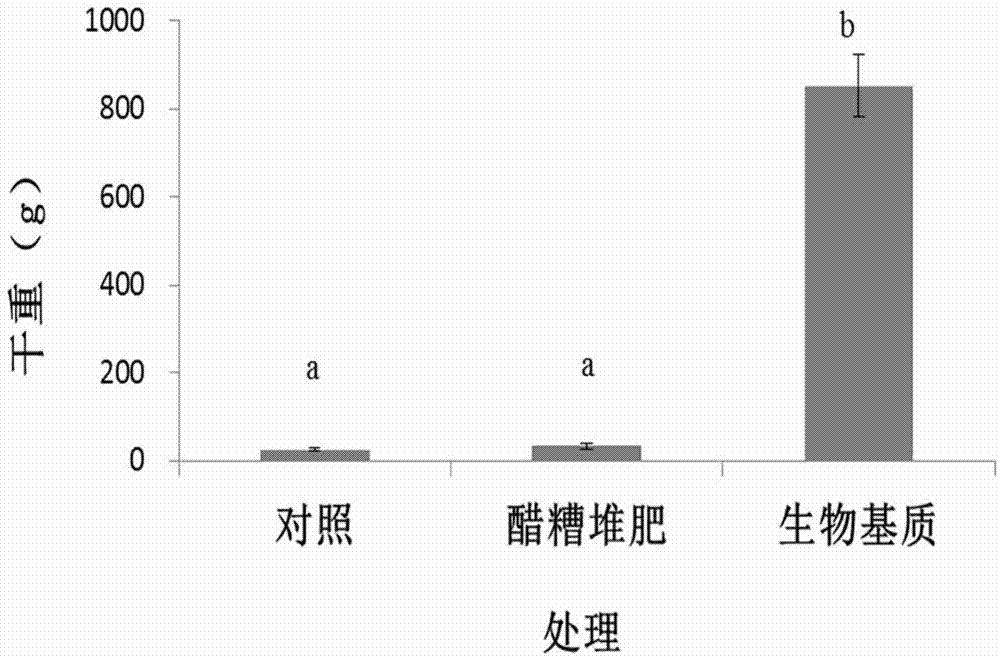 Microbe additive for improving beach saline alkali soil structure and its preparation method and use