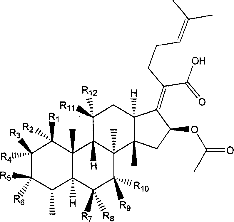 New use of fumigacin type steroids in producing medicine for anti-drug fast bacteria