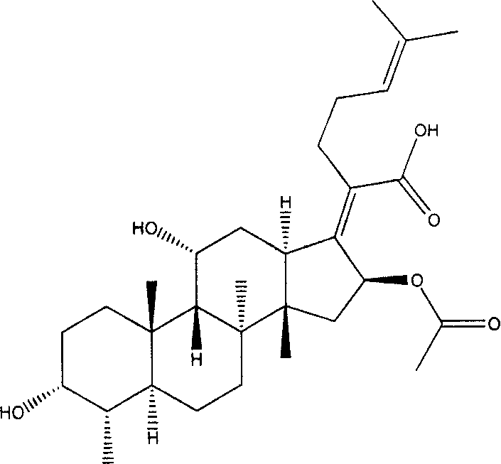 New use of fumigacin type steroids in producing medicine for anti-drug fast bacteria