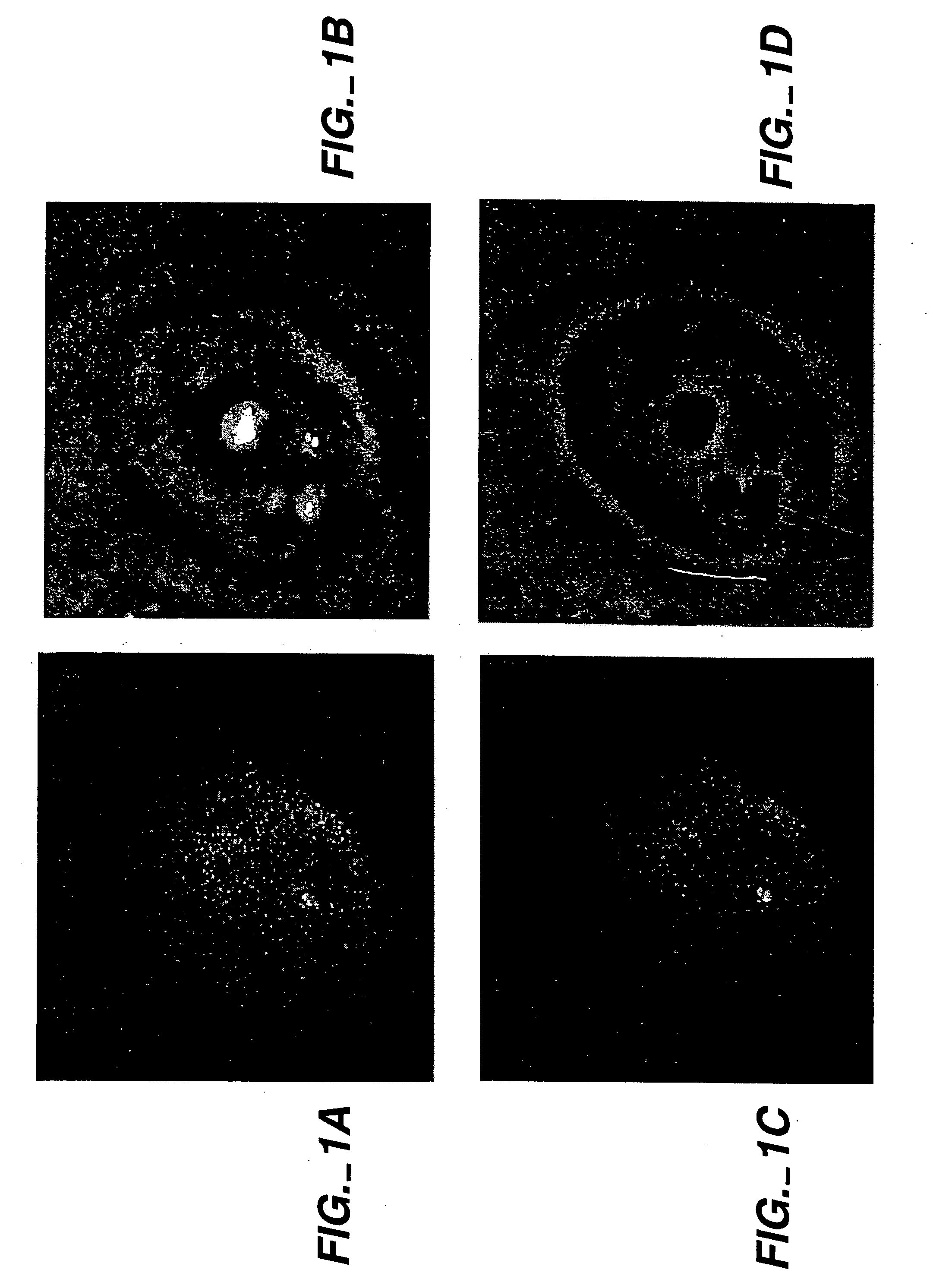 In vivo homologous sequence targeting in cells