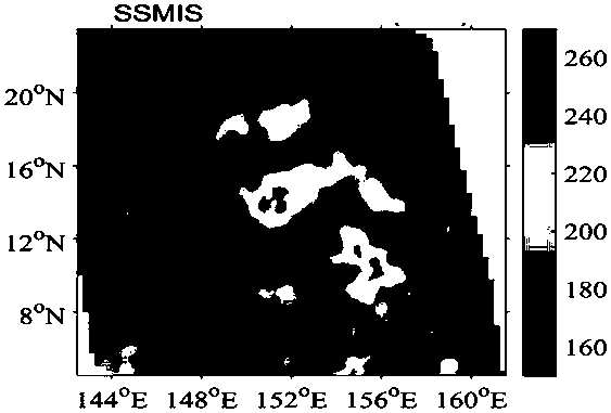 Tropical cyclone automatic intensity determination method based on active and passive microwave remote sensing observation