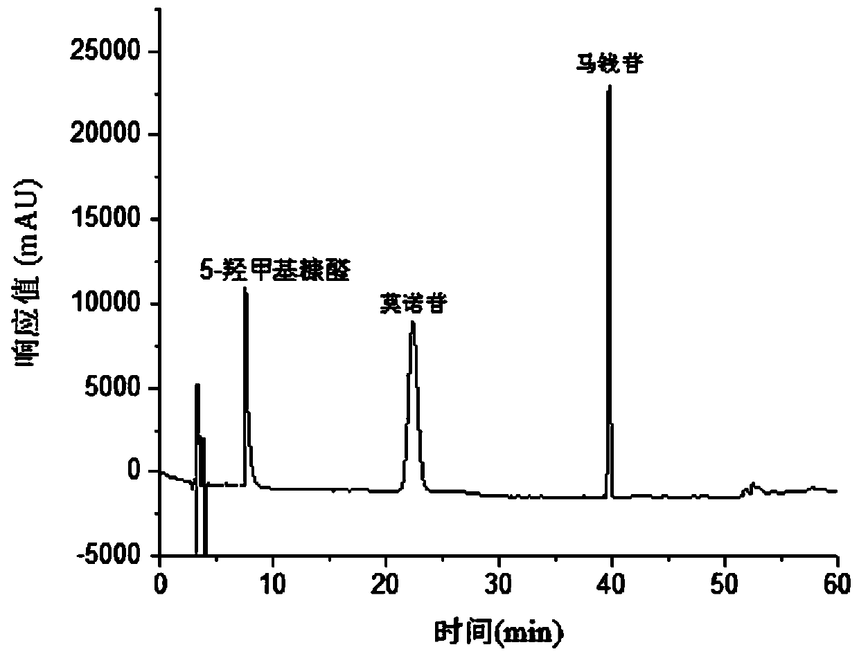 Processing method and application for wine-processed fructus corni