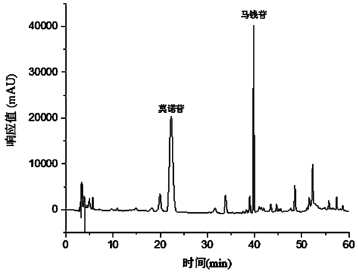 Processing method and application for wine-processed fructus corni