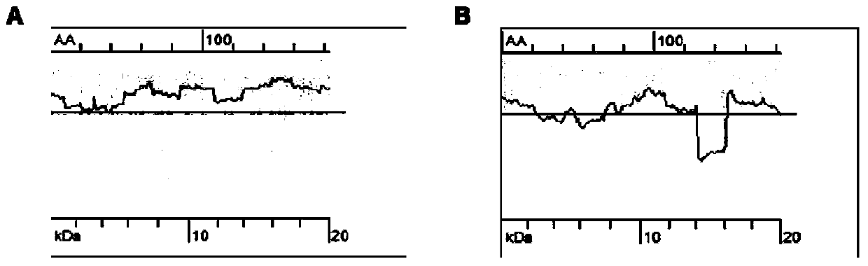 Recombinant fibronectin mutant and application thereof