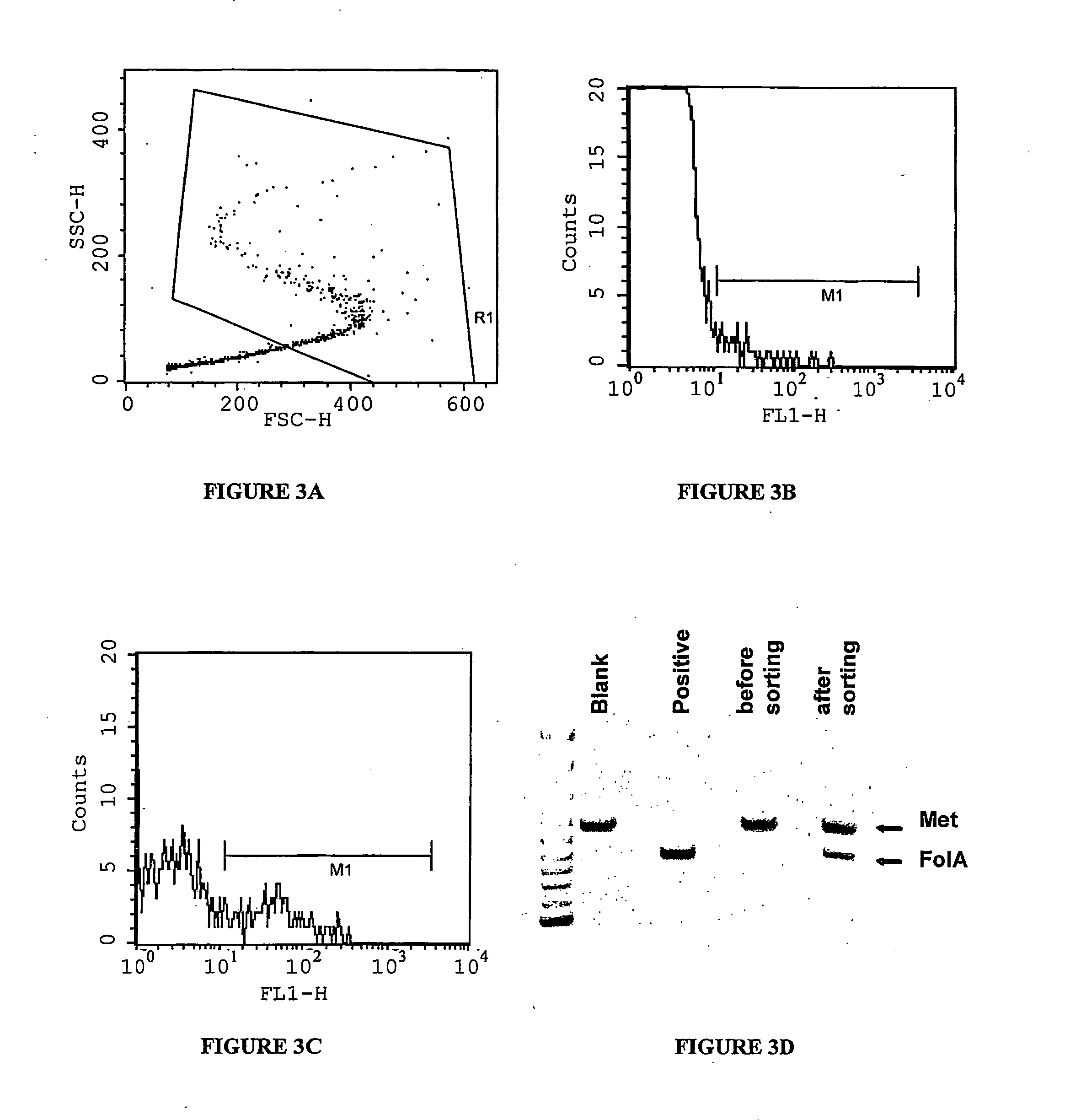 Compositions and methods for in vitro sorting of molecular and cellular libraries