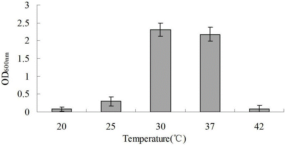 Strain for degrading phenol compounds and application of strain