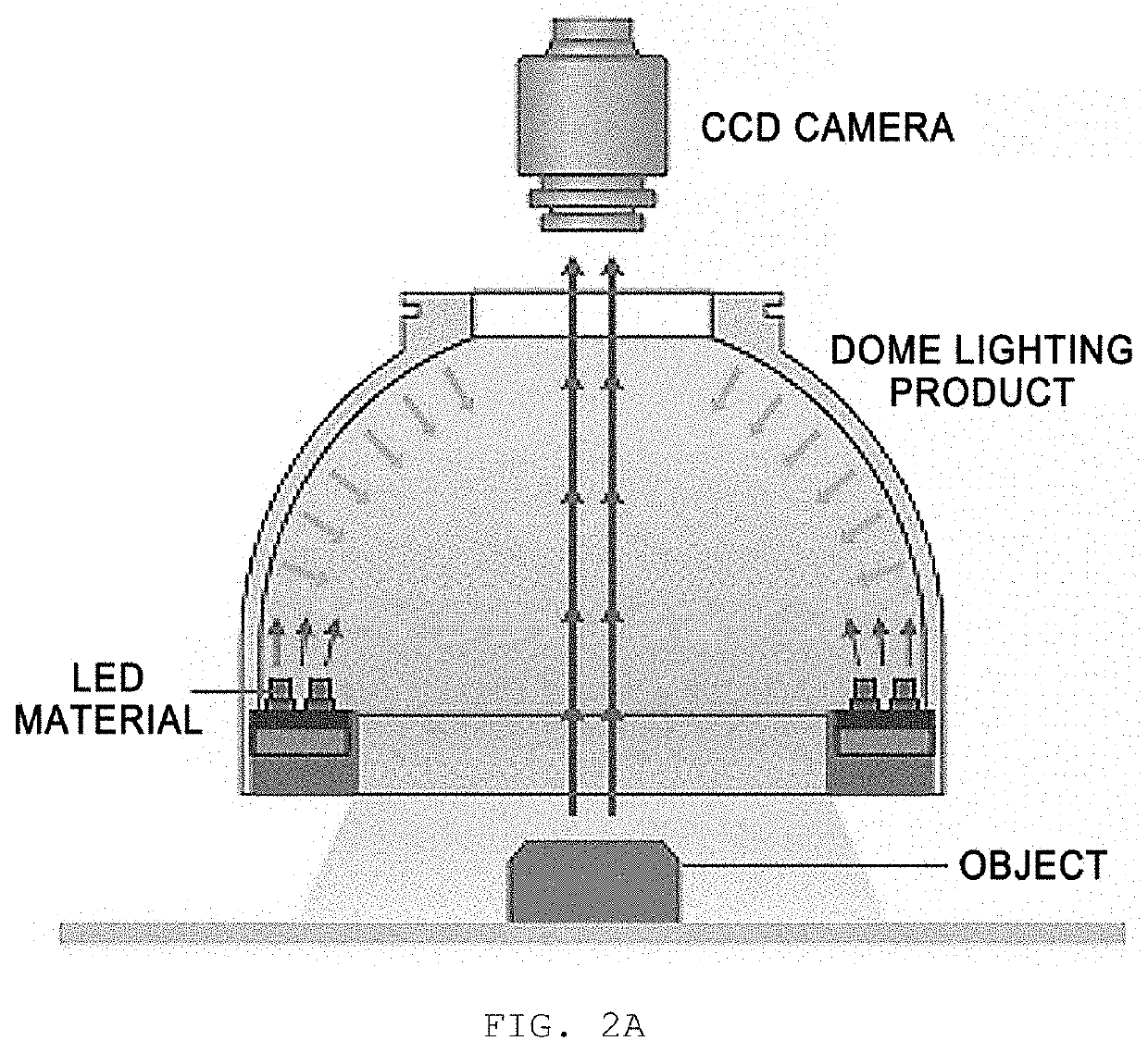 Lighting apparatus