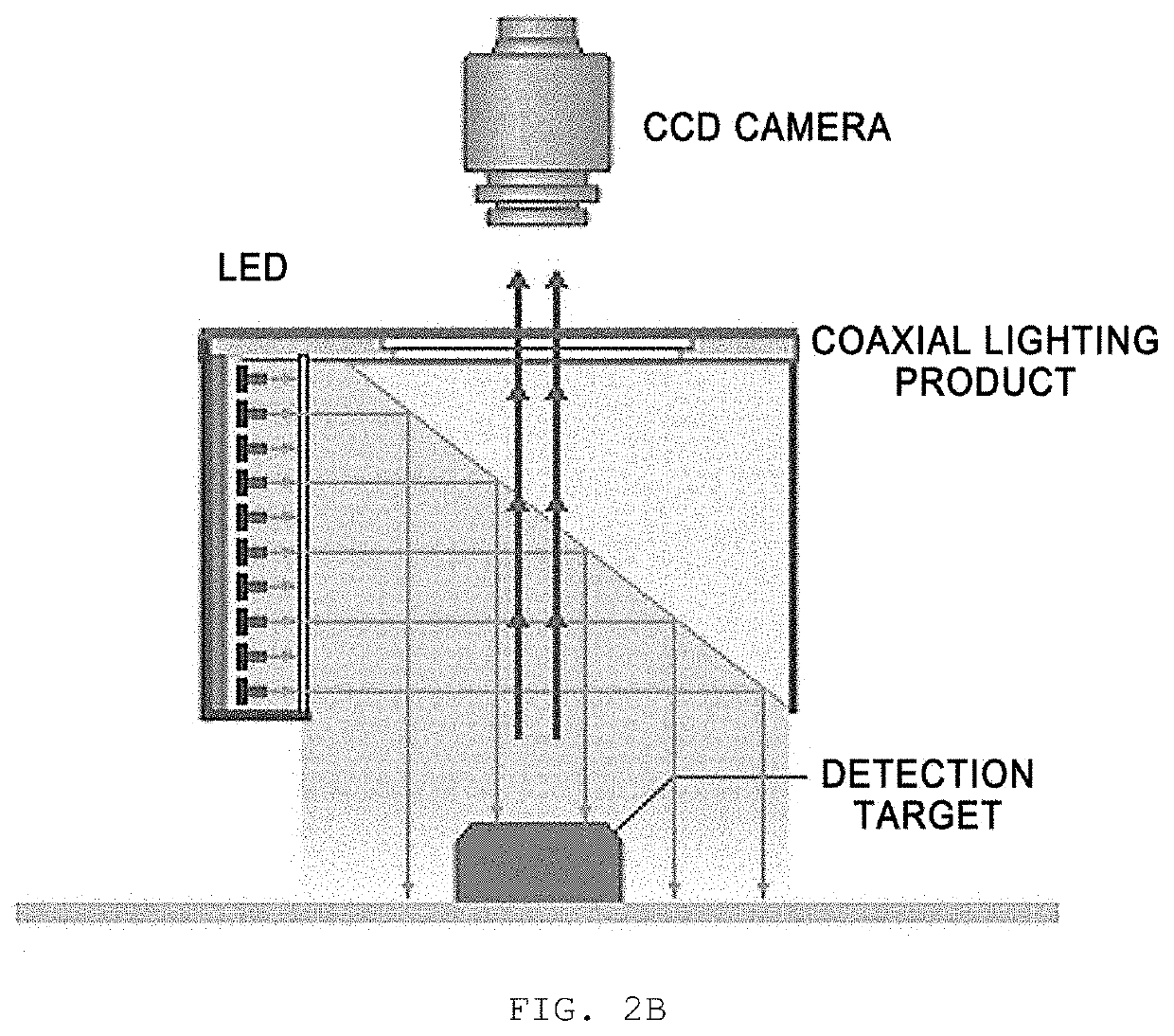 Lighting apparatus