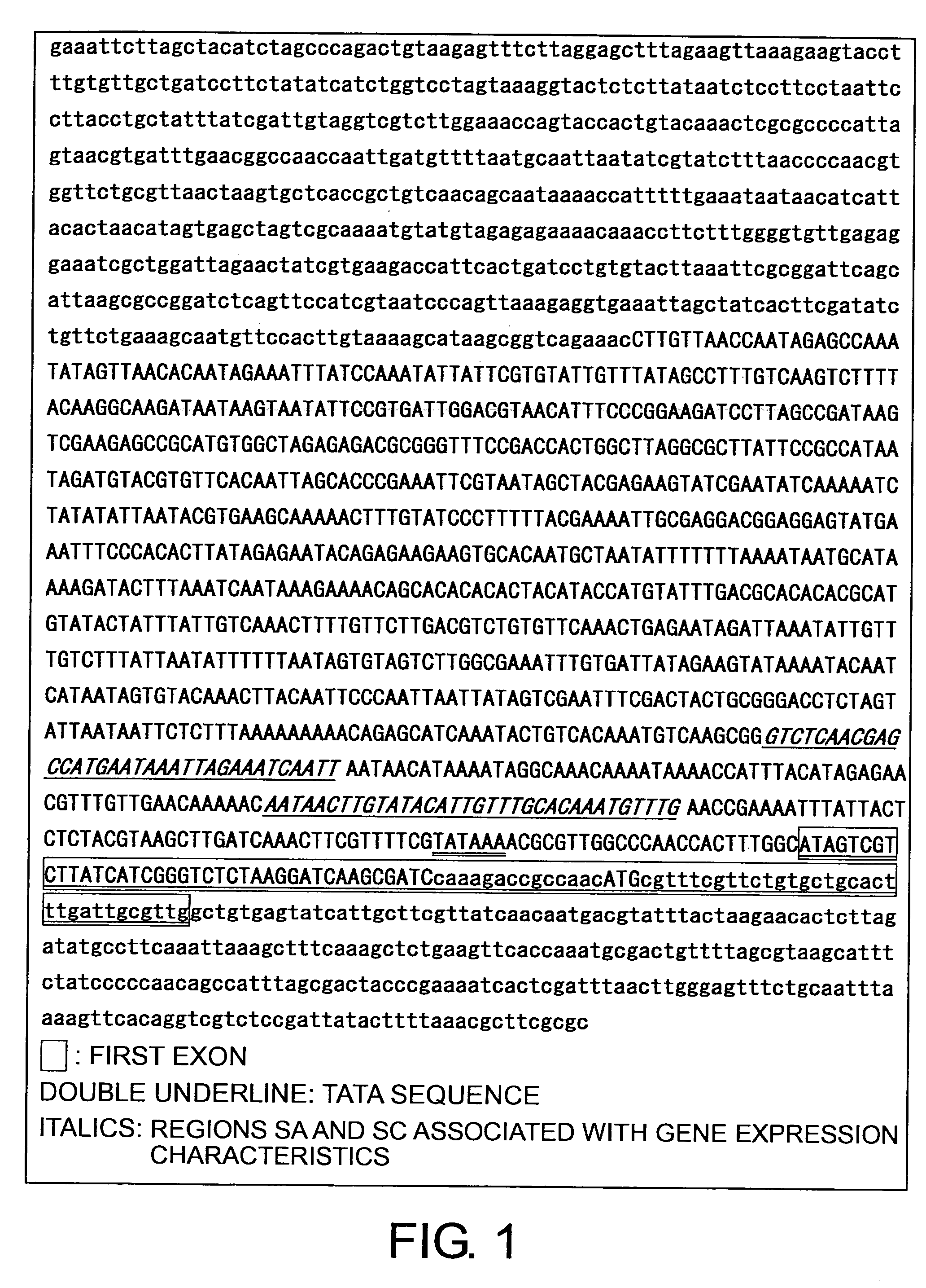 Methods for producing proteins using silkworm middle silk gland-specific gene expression system