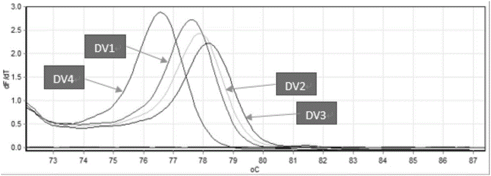 RT-PCR-HRM or PCR-HRM primer, reagent and method for fast distinguishing four kinds of serotype dengue viruses