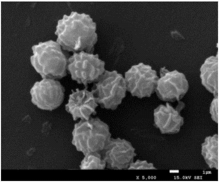 Aspergillus awamori strain and application thereof in field of preventing and controlling of agricultural pests