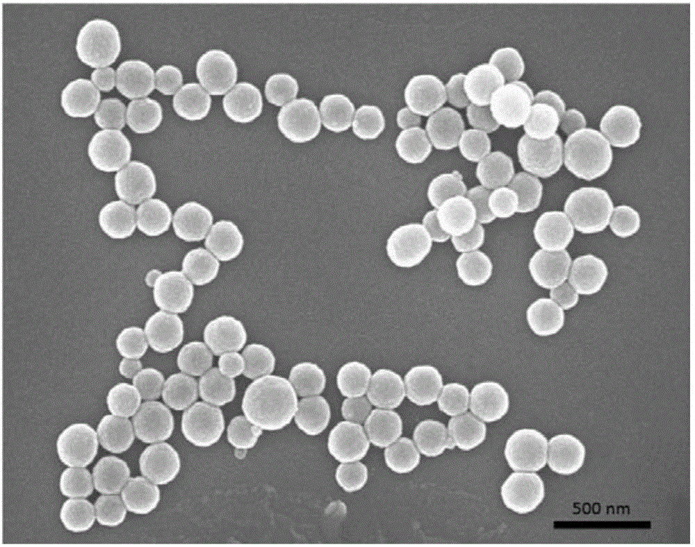 Light-sensitive medicine nano-particles as well as preparation method and application thereof