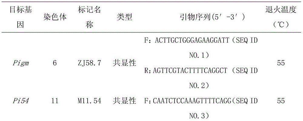 Method for cultivating rice breeding material with broad spectrum and lasting spike blast resistance