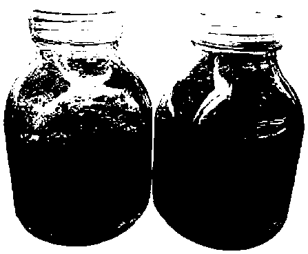 Bougainvillea spectabilis willd detoxification tissue culture method