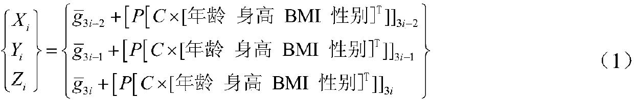 Feature human body finite element modeling method based on adaptive RBF network deformation technology