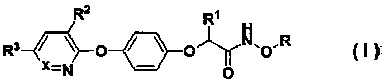 N-oxyaryloxyphenoxy carboxylic acid amide compound with bioactivity and preparation method thereof